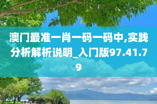 澳门最准一肖一码一码中,实践分析解析说明_入门版97.41.79