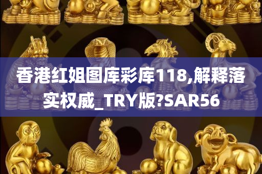 香港红姐图库彩库118,解释落实权威_TRY版?SAR56