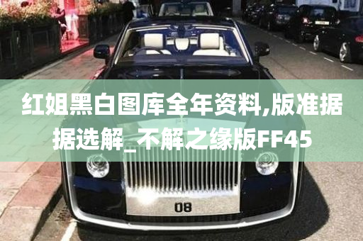 红姐黑白图库全年资料,版准据据选解_不解之缘版FF45