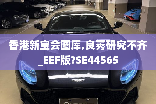 香港新宝会图库,良莠研究不齐_EEF版?SE44565