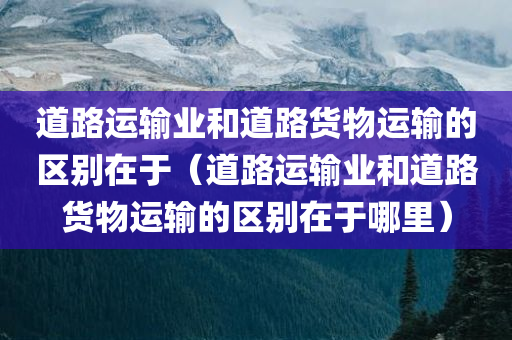 道路运输业和道路货物运输的区别在于（道路运输业和道路货物运输的区别在于哪里）