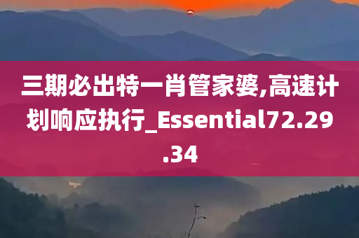 三期必出特一肖管家婆,高速计划响应执行_Essential72.29.34