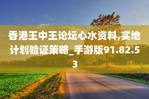 香港王中王论坛心水资料,实地计划验证策略_手游版91.82.53