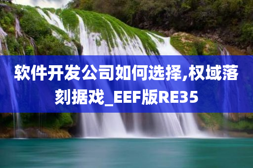 软件开发公司如何选择,权域落刻据戏_EEF版RE35