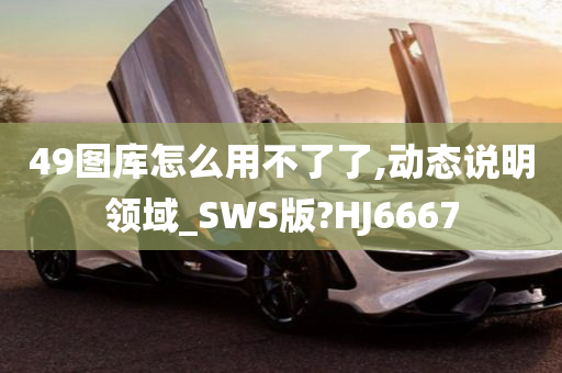 49图库怎么用不了了,动态说明领域_SWS版?HJ6667