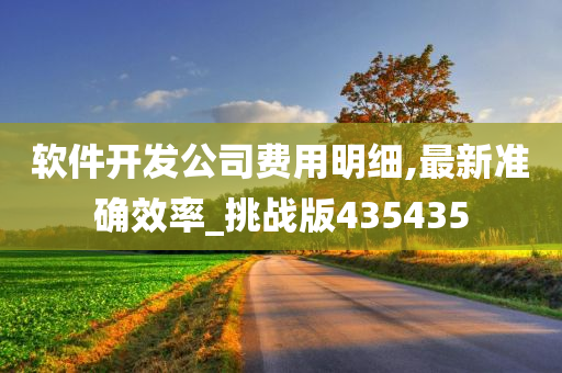 软件开发公司费用明细,最新准确效率_挑战版435435