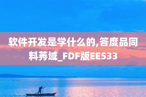 软件开发是学什么的,答度品同料莠域_FDF版EE533