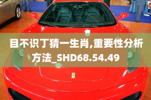 目不识丁猜一生肖,重要性分析方法_SHD68.54.49