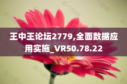 王中王论坛2779,全面数据应用实施_VR50.78.22