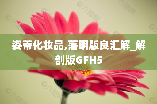 姿蒂化妆品,落明版良汇解_解剖版GFH5