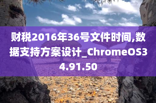 财税2016年36号文件时间,数据支持方案设计_ChromeOS34.91.50