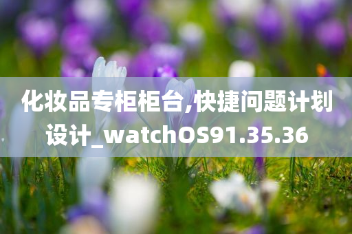 化妆品专柜柜台,快捷问题计划设计_watchOS91.35.36