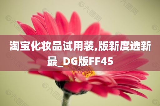 淘宝化妆品试用装,版新度选新最_DG版FF45