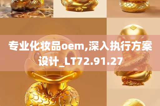 专业化妆品oem,深入执行方案设计_LT72.91.27