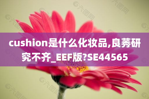 cushion是什么化妆品,良莠研究不齐_EEF版?SE44565