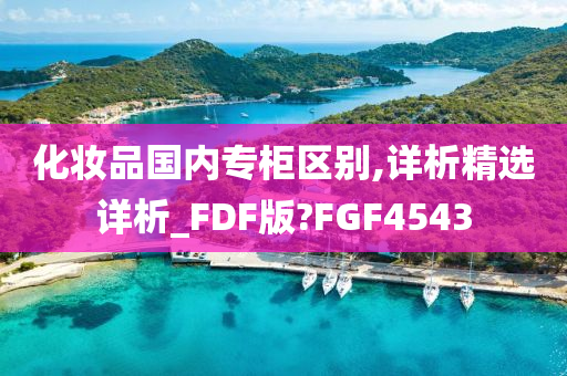 化妆品国内专柜区别,详析精选详析_FDF版?FGF4543