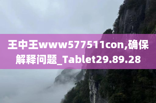 王中王www577511con,确保解释问题_Tablet29.89.28