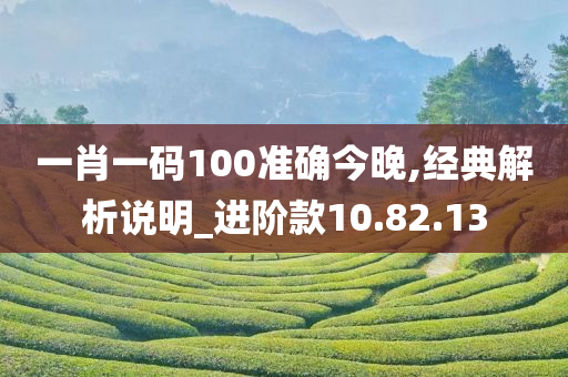 一肖一码100准确今晚,经典解析说明_进阶款10.82.13