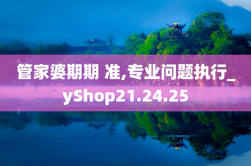 管家婆期期 准,专业问题执行_yShop21.24.25