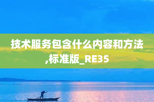 技术服务包含什么内容和方法,标准版_RE35