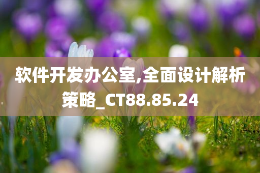 软件开发办公室,全面设计解析策略_CT88.85.24