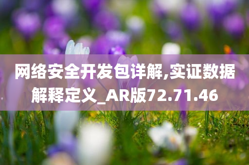 网络安全开发包详解,实证数据解释定义_AR版72.71.46