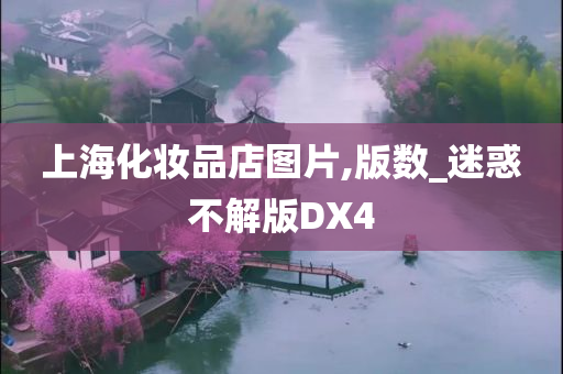 上海化妆品店图片,版数_迷惑不解版DX4