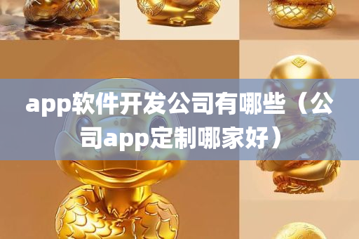 app软件开发公司有哪些（公司app定制哪家好）