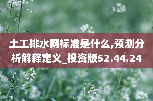 土工排水网标准是什么,预测分析解释定义_投资版52.44.24