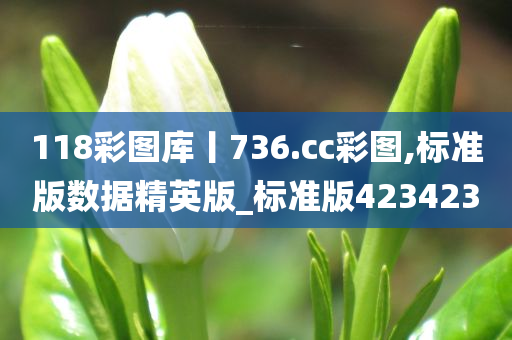 118彩图库丨736.cc彩图,标准版数据精英版_标准版423423