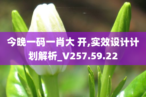 今晚一码一肖大 开,实效设计计划解析_V257.59.22