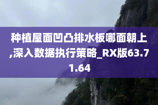 种植屋面凹凸排水板哪面朝上,深入数据执行策略_RX版63.71.64