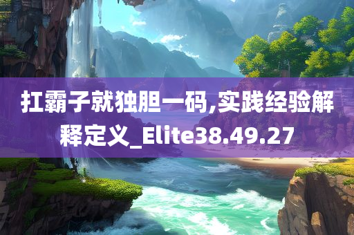 扛霸子就独胆一码,实践经验解释定义_Elite38.49.27