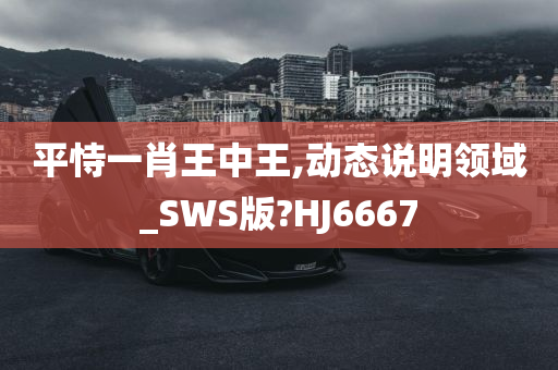 平恃一肖王中王,动态说明领域_SWS版?HJ6667