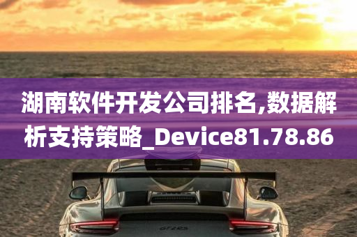 湖南软件开发公司排名,数据解析支持策略_Device81.78.86