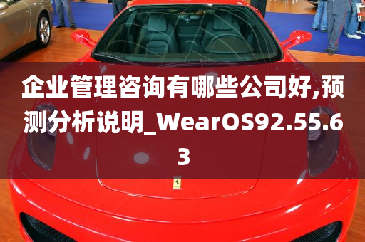 企业管理咨询有哪些公司好,预测分析说明_WearOS92.55.63