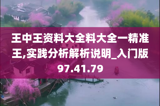 王中王资料大全料大全一精准王,实践分析解析说明_入门版97.41.79