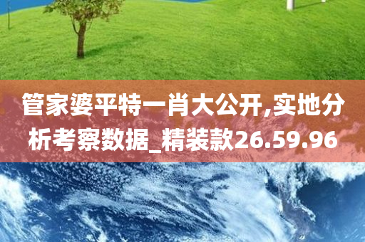 管家婆平特一肖大公开,实地分析考察数据_精装款26.59.96