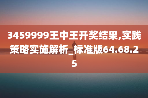 3459999王中王开奖结果,实践策略实施解析_标准版64.68.25