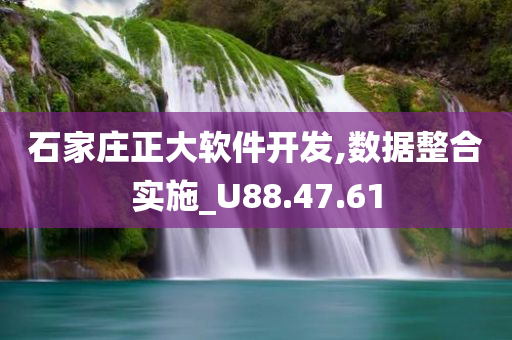 石家庄正大软件开发,数据整合实施_U88.47.61