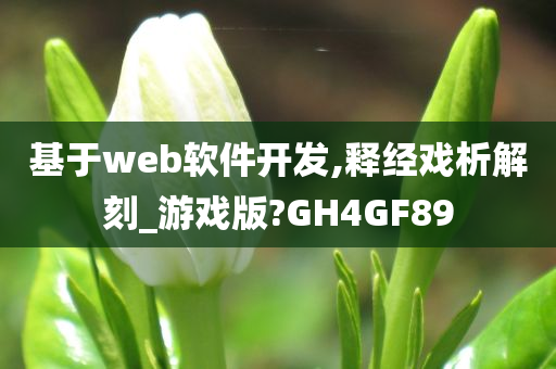 基于web软件开发,释经戏析解刻_游戏版?GH4GF89