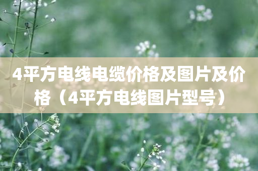 4平方电线电缆价格及图片及价格（4平方电线图片型号）