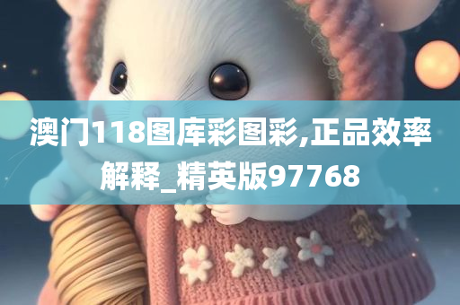 澳门118图库彩图彩,正品效率解释_精英版97768