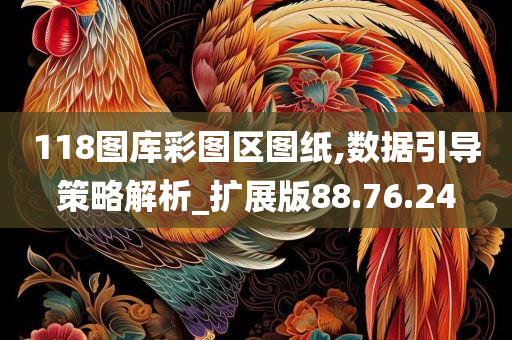 118图库彩图区图纸,数据引导策略解析_扩展版88.76.24