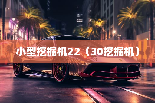 小型挖掘机22（30挖掘机）