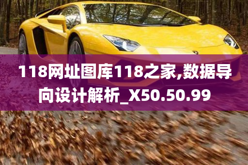 118网址图库118之家,数据导向设计解析_X50.50.99