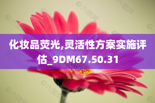 化妆品荧光,灵活性方案实施评估_9DM67.50.31