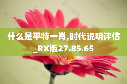 什么是平特一肖,时代说明评估_RX版27.85.65