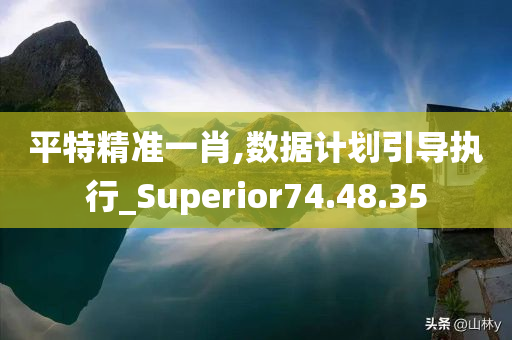 平特精准一肖,数据计划引导执行_Superior74.48.35