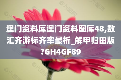 澳门资料库澳门资料图库48,数汇齐游标齐率最析_解甲归田版?GH4GF89